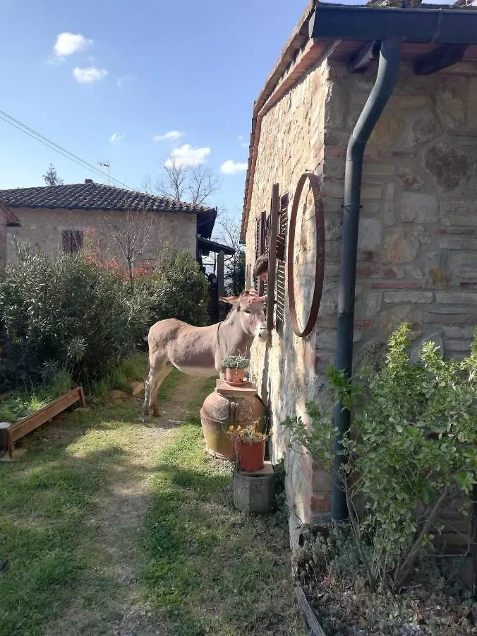 Agriturismo Grecinella Casole dʼElsa Italien