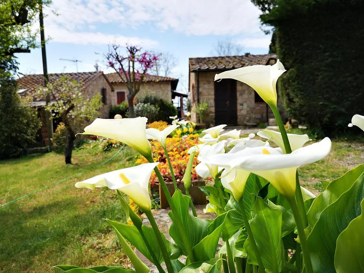 Agriturismo Grecinella Casole dʼElsa Bauernhof
